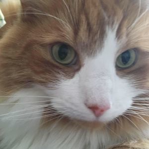 Meet your Posher, Rita